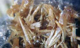 Wulfenite needles magnified 15X