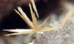 Wulfenite needles on quartz 30X