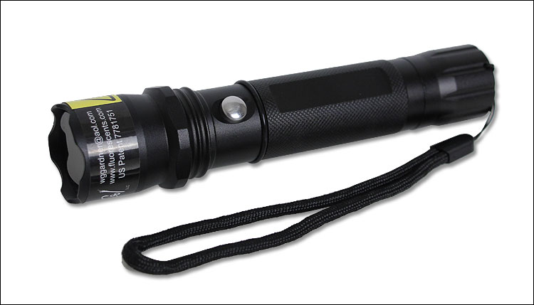 Handheld UV Flashlight